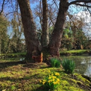 Loiret, suite ☀️